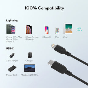 RAVPower RP-CB054 USB-C To Lightning