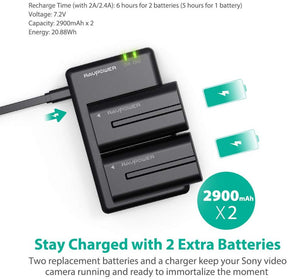 NP-F550 Battery Charger for Sony-RAVPower